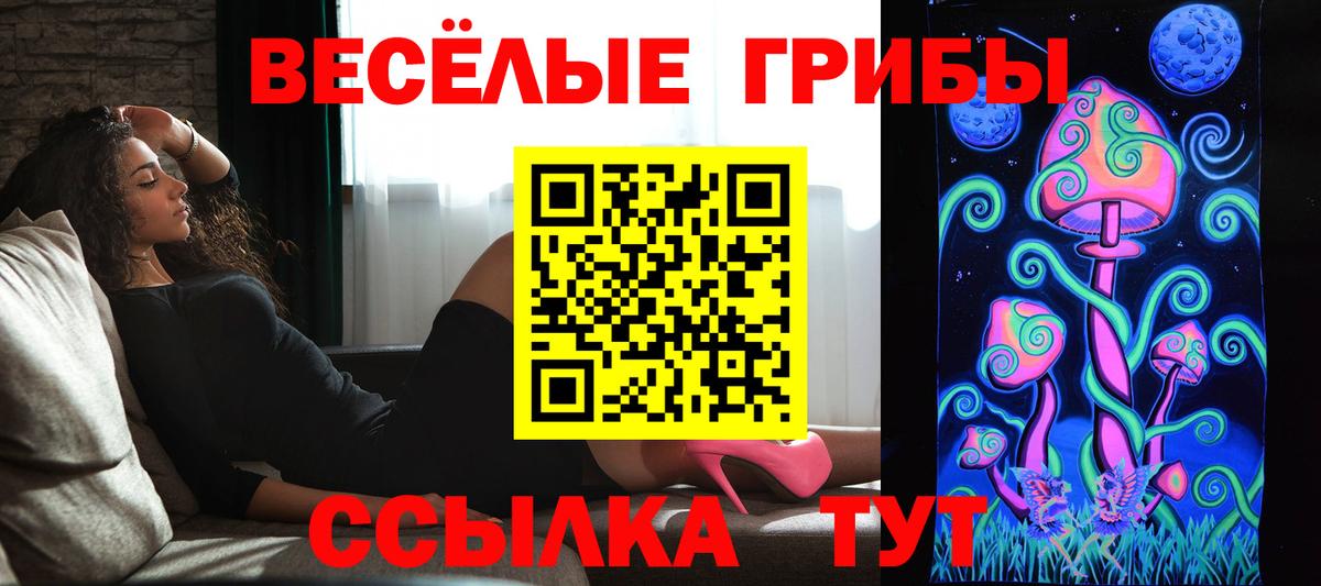 Галлюциногенные грибы GOLDEN TEACHER  Вход с VPN  Минусинск 